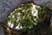 Photo 01