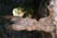 Photo 05
