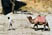 Photo 06
