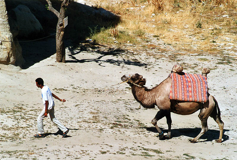 Retour Bonus Turquie