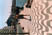 Photo 08