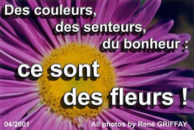 Présentation du sujet photographique du mois