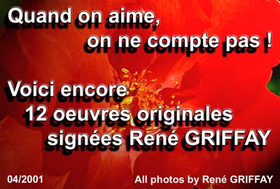 Deuxième série de photos de ce mois