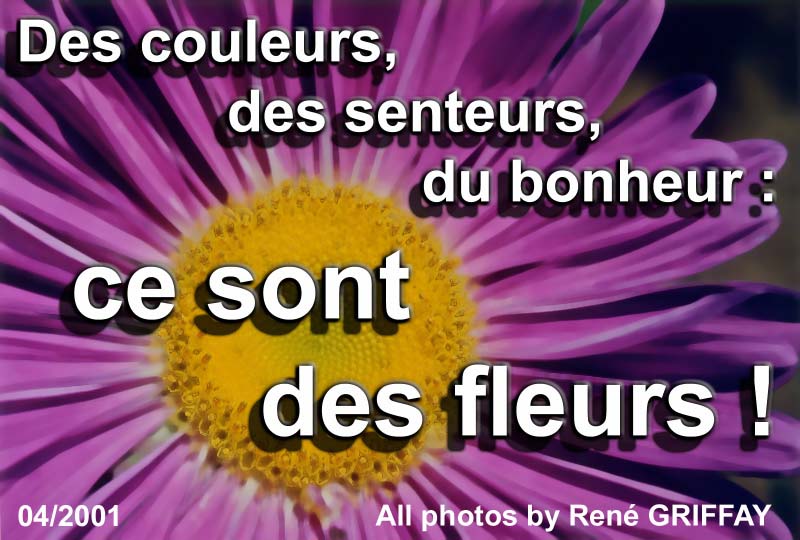Présentation du sujet da ce mois
