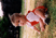 Photo 03