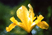 Photo 09