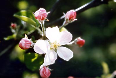 Plein écran