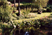 Photo 04
