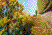 Photo 03