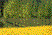 Photo 06