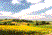 Photo 08