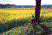 Photo 09