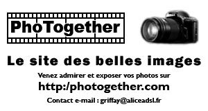 image de promotion de PhoTogether